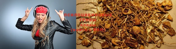 Альфа ПВП Балабаново